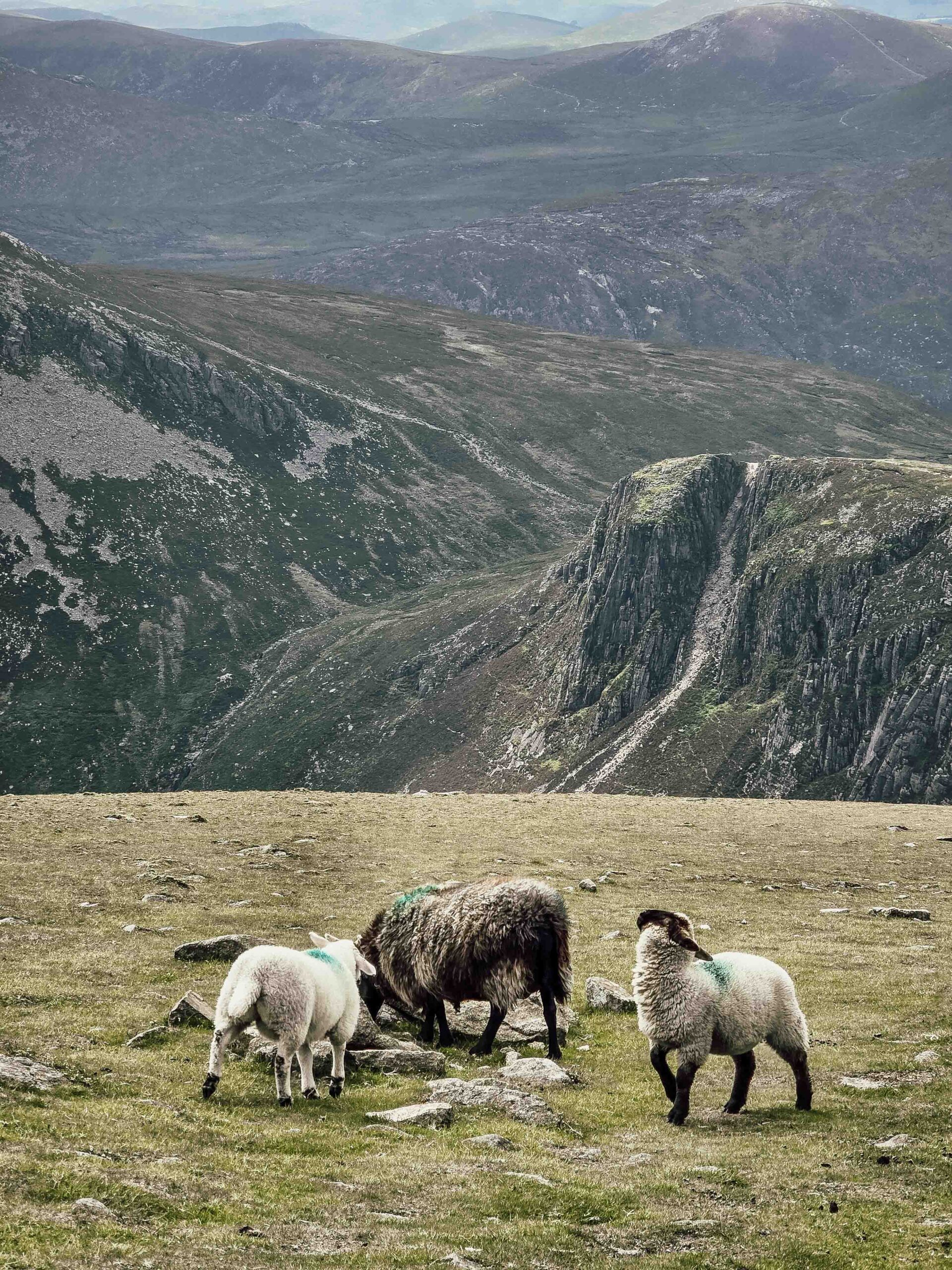 Slieve Donard