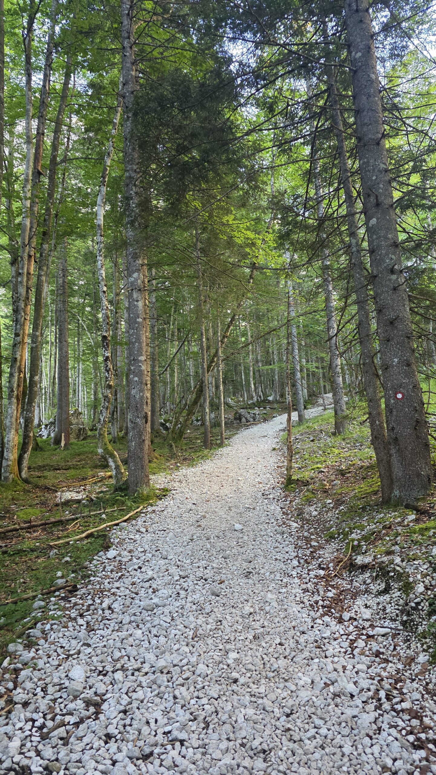 Slovenia — Triglav