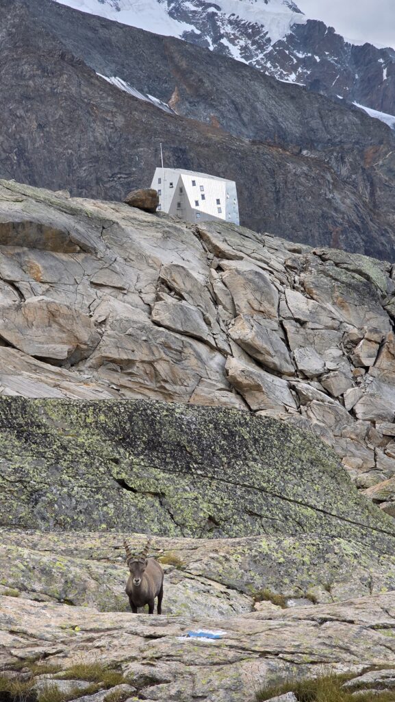 Switzerland — Dufourspitze