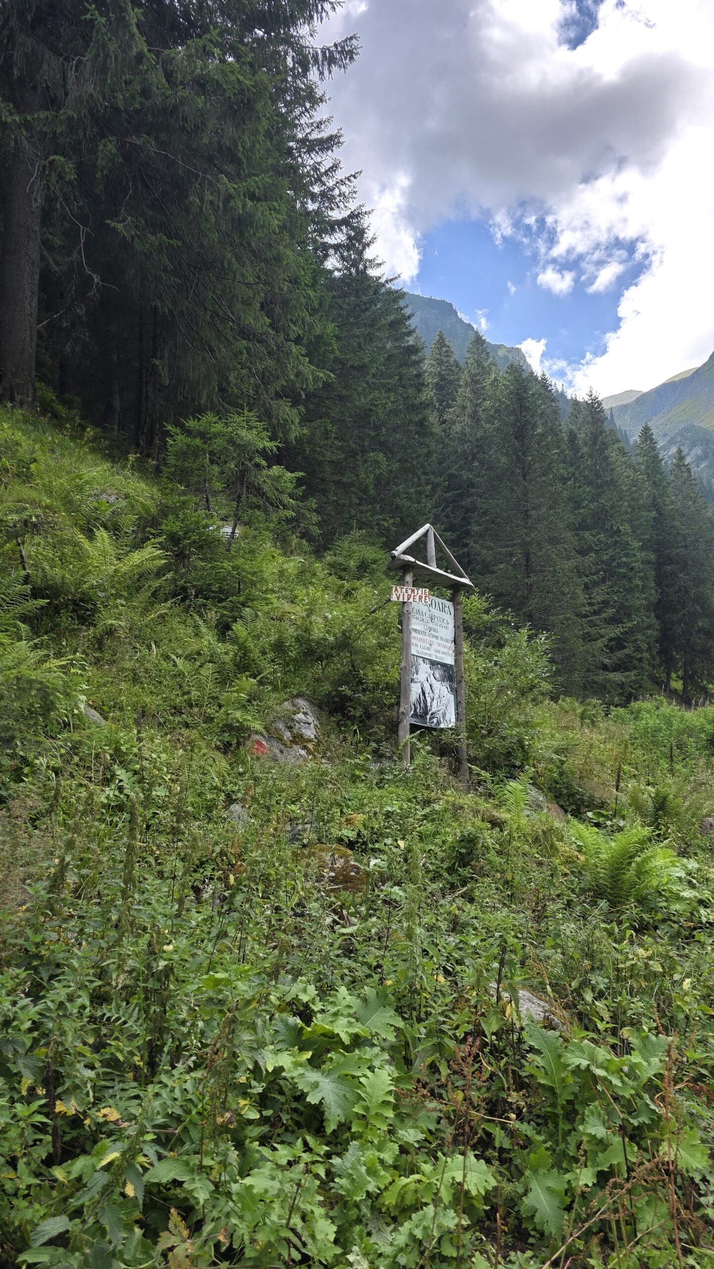 Romania – Moldoveanu