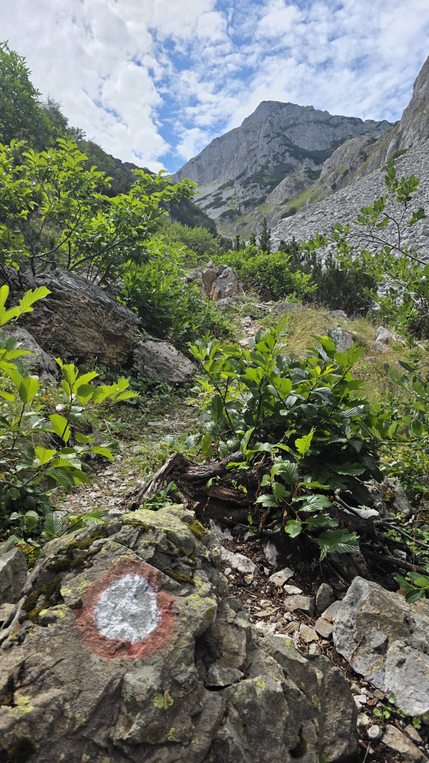 Bosnia and Herzegovina – Maglić (2,386 m)