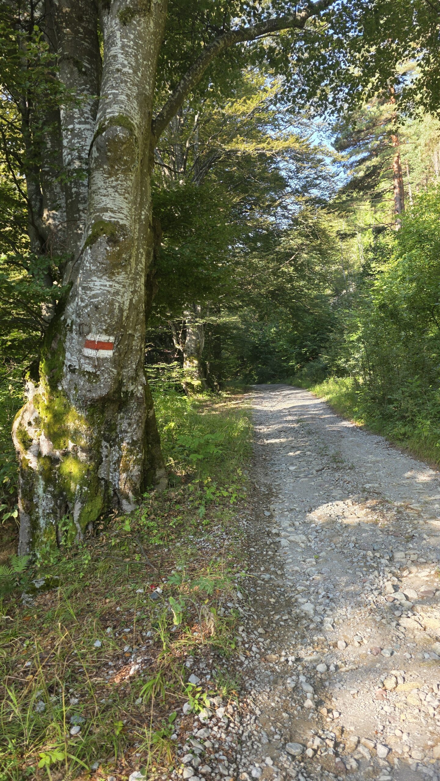 Serbia – Midžor (2,169 m)The climb I almost didn’t do