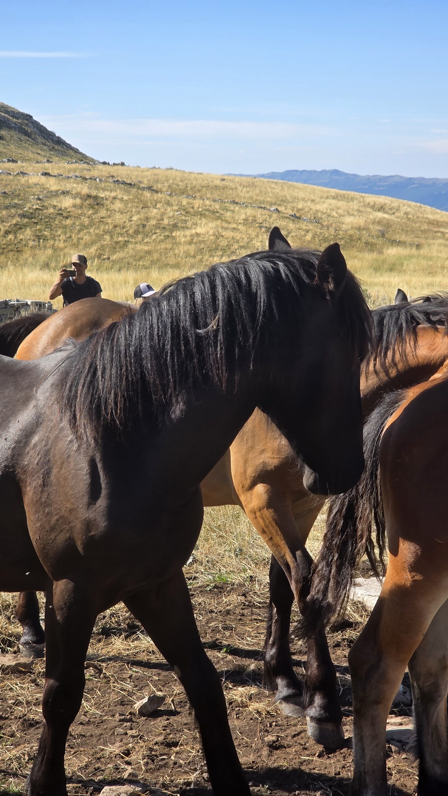 Croatia – Dinara (1,831 m)