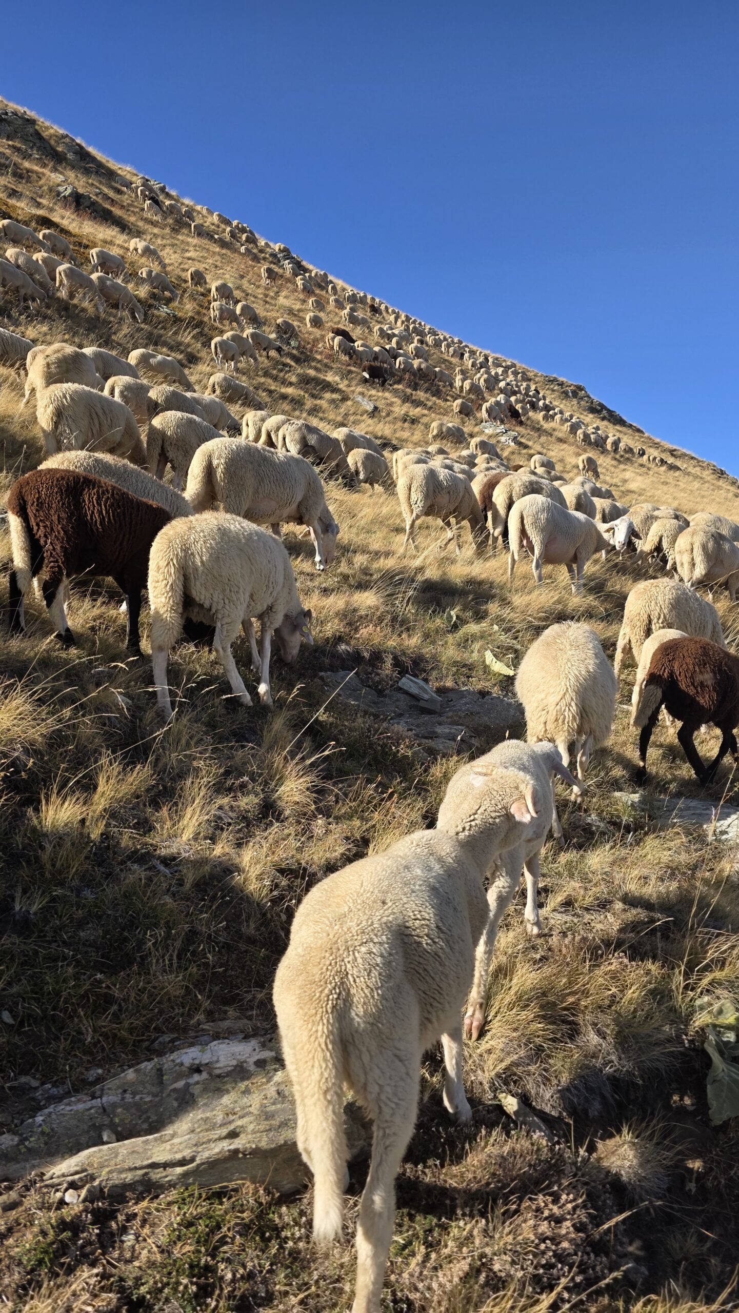 Kosovo – Velika Rudoka (2,658 m)