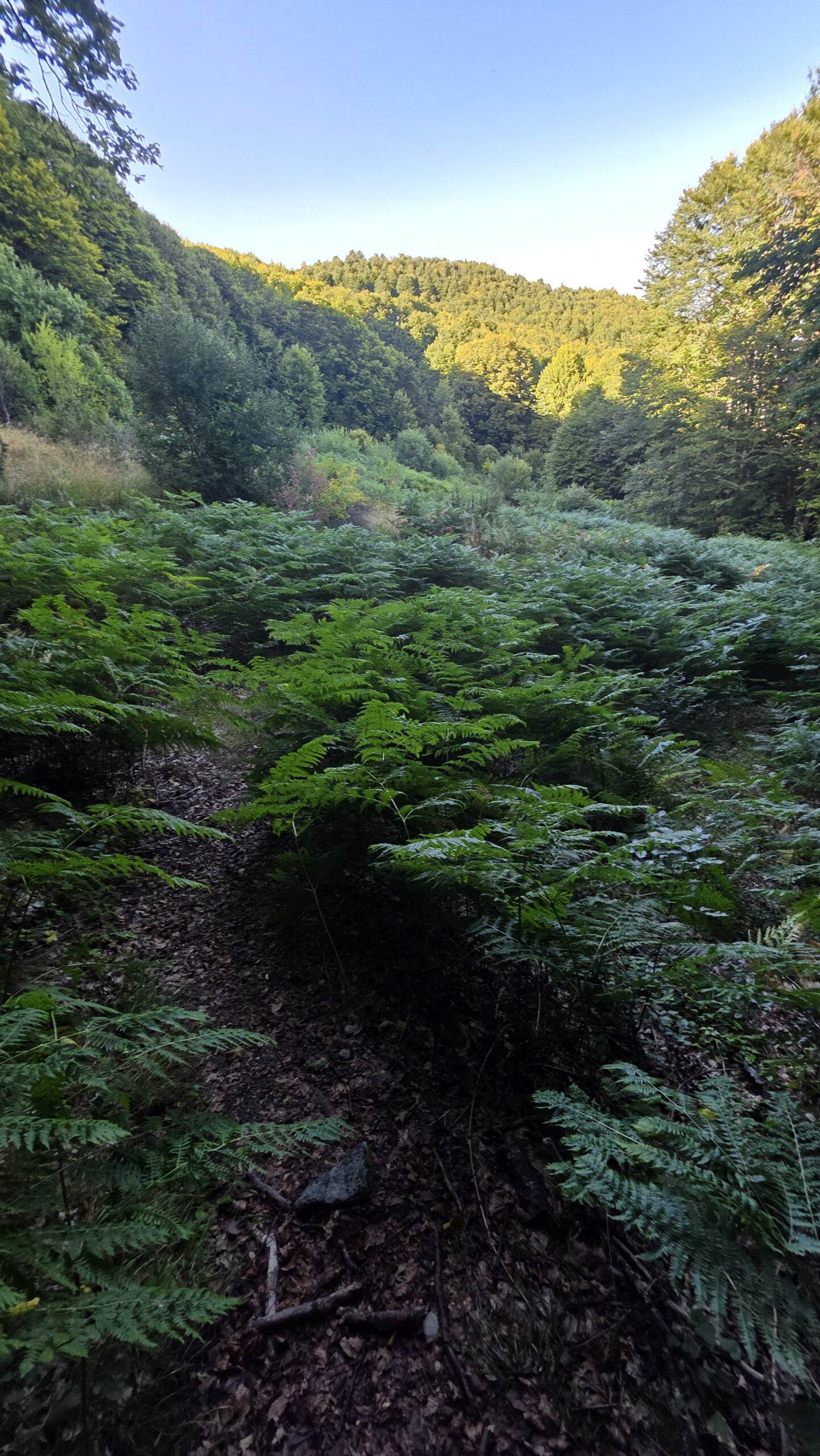 Kosovo – Velika Rudoka (2,658 m)