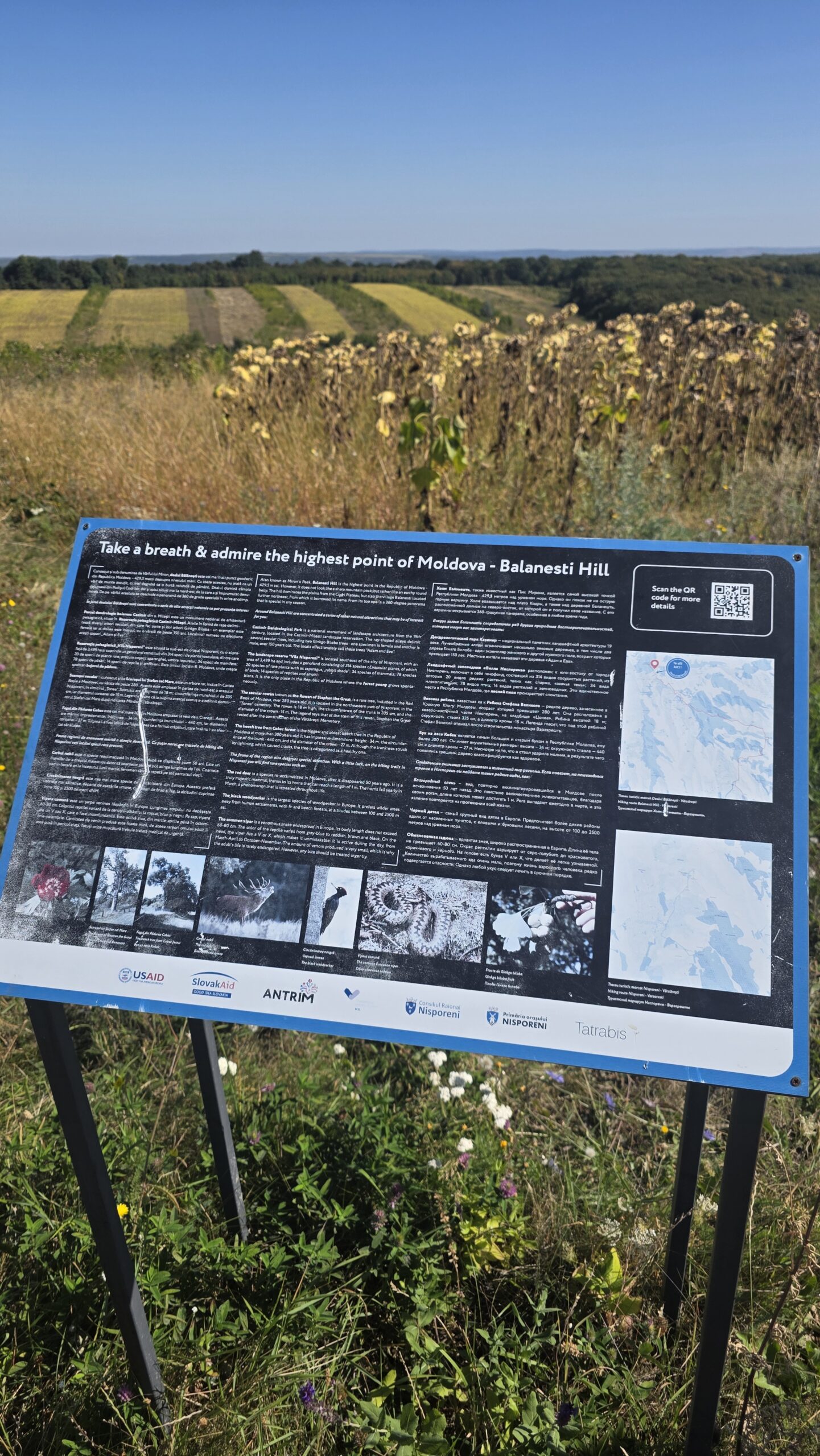 Moldova – Bălănești Hill (430 m)