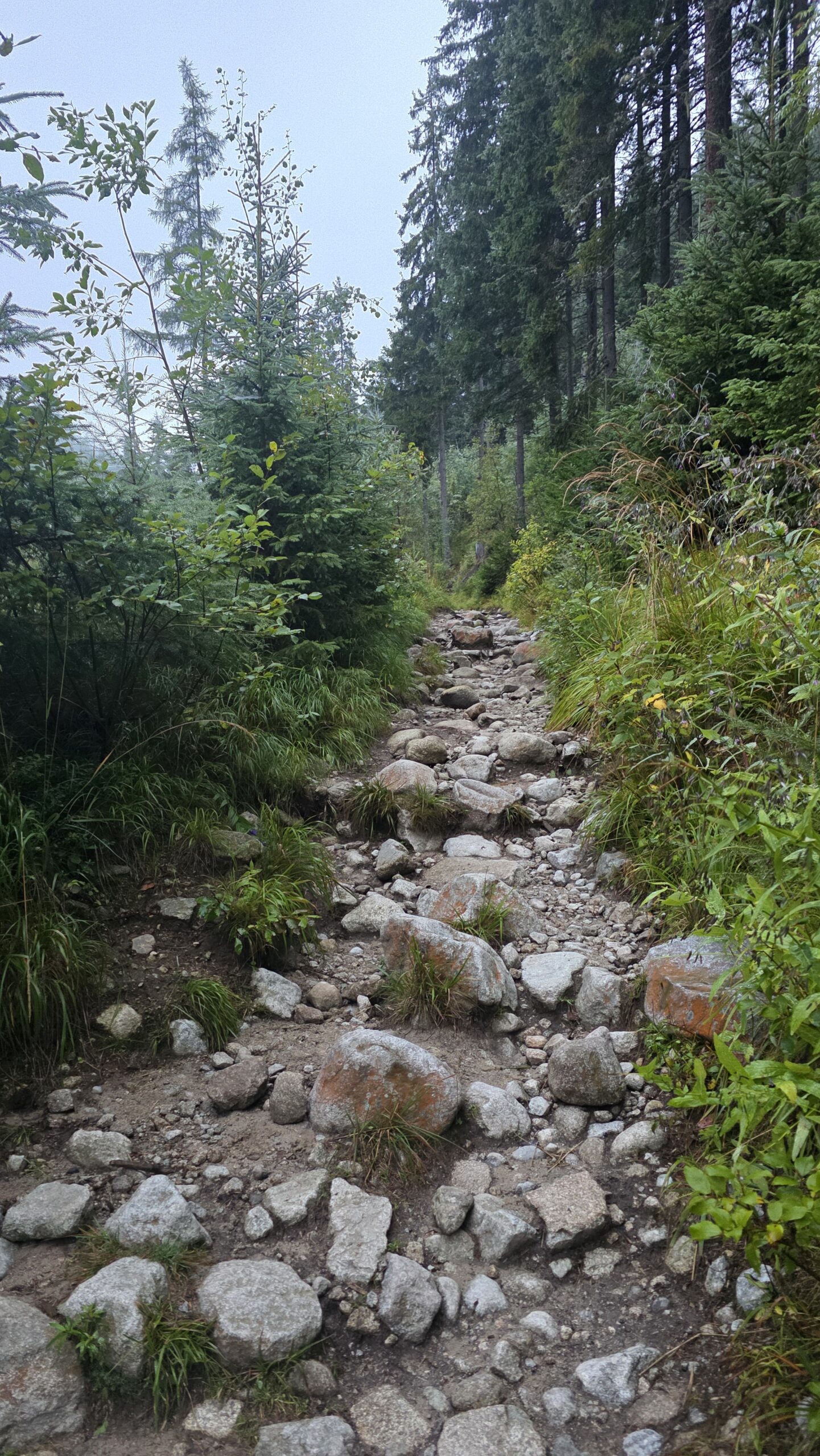 Slovakia & 🇵🇱 Poland – Gerlachovský štít and Rysy
